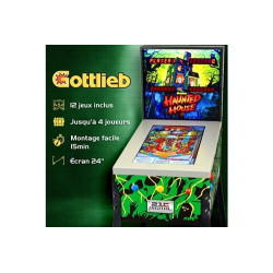 Flipper Gottlieb numérique 3D sur pied - écran LCD - 12 tables de jeux