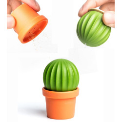 Salière / poivrier cactus