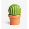 Salière / poivrier cactus