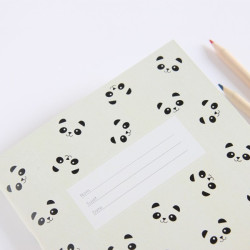 Notebook Pandas Zü