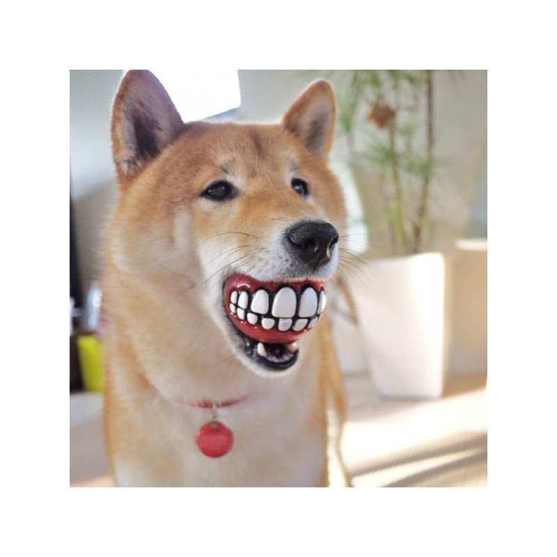 Balle à dents pour chien souriant