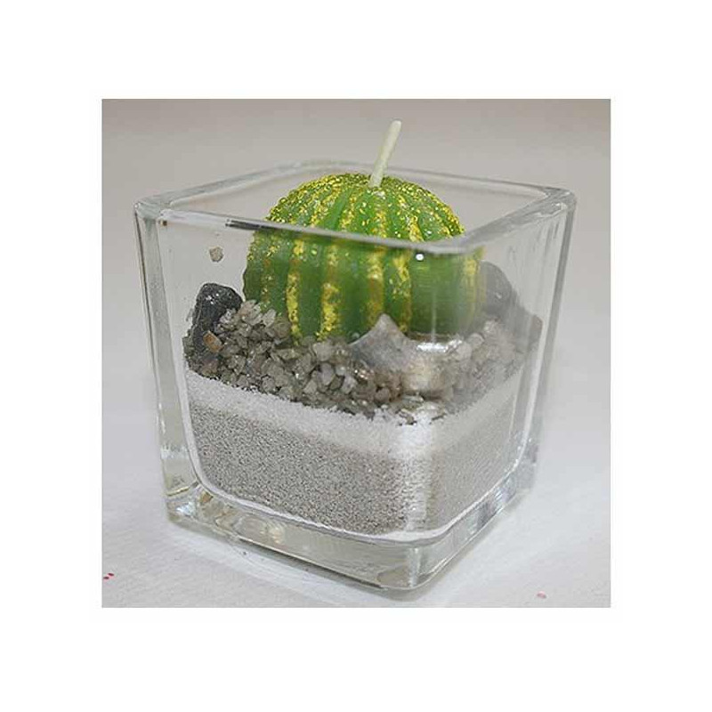 Bougie Cactus