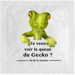 Tu Veux Voir La Queue Du Gecko