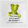Tu Veux Voir La Queue Du Gecko