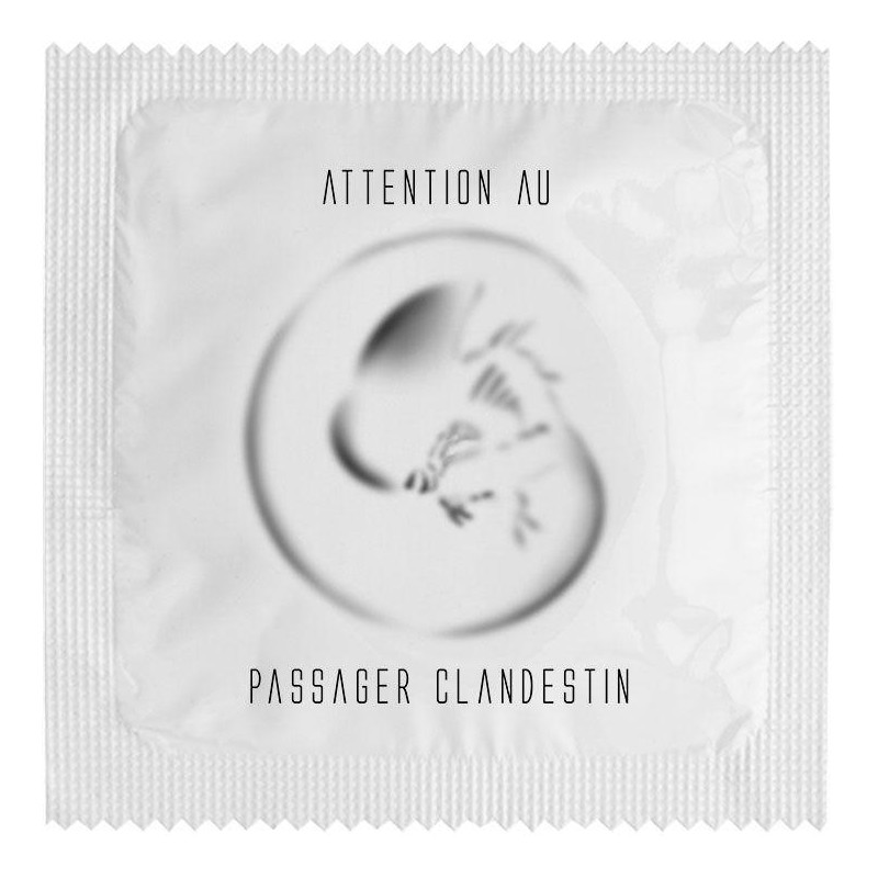 Passager Clandestin