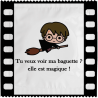 Harry Fait Son Cinéma