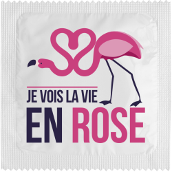 Je Vois La Vie En Rose