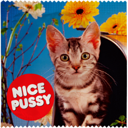 Nice Pussy