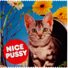 Nice Pussy