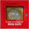 In Case Of Emergency Break Glass