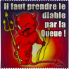 Il Faut Prendre De Diable Par La Queue