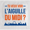 Tu Veux Voir L'aiguille Du Midi