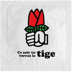 Ps-ce Soir Tu Verras La Tige