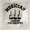 Musicians Looking For Groupies