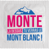 Monte La Dessus Tu Verras Le Mt Blanc