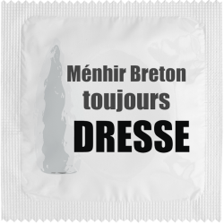 Menhir Breton Toujours Dresse