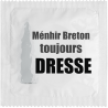 Menhir Breton Toujours Dresse