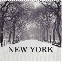 New York Snow