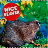 Nice Beaver