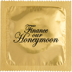 Finance Our Honeymoon