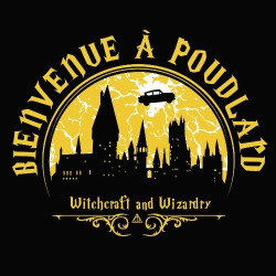 Tshirt Harry Potter - Bienvenue à Poudlard
