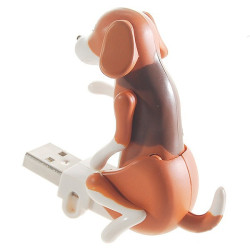 Clé USB chien en chaleur