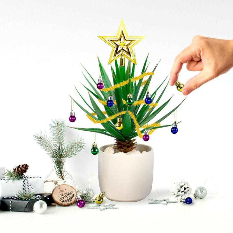 Kit décoration festive pour plante