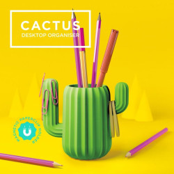 Cactus, Pot à crayon organiseur