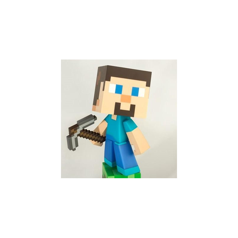 Minecraft Steve Vinyl