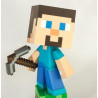 Minecraft Steve Vinyl