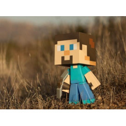 Minecraft Steve Vinyl