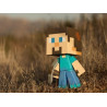 Minecraft Steve Vinyl