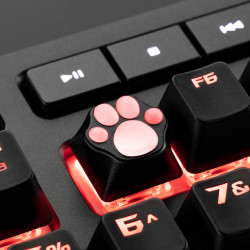 Capuchon De Clavier En Métal À Griffes De Chat