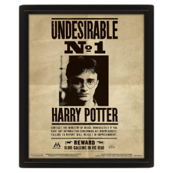 Cadre mural avis de recherche Harry Potter et Sirius
