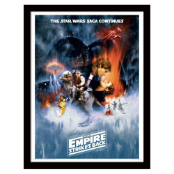 Cadre Star Wars The Empire...
