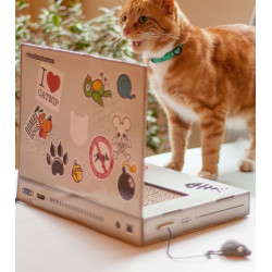 Griffoir pour chat - PC portable