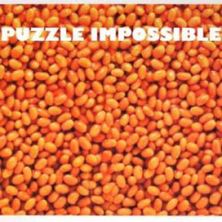 Le puzzle haricots impossible