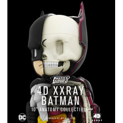 XXRAY Dc Comics Batman 4D