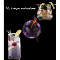 Cocktail gin tonic moléculaire