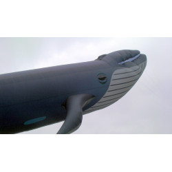 Cerf-volant baleine bleue...
