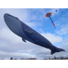 Cerf-volant baleine bleue taille réelle