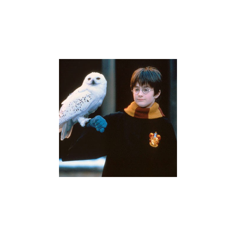 Figurine POP Harry Potter - Hedwige