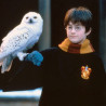 Figurine POP Harry Potter - Hedwige exclu - 10 cm