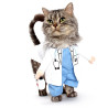 Le déguisement docteur Chat (ou petit chien)