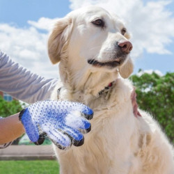 Gant de massage anti-poils pour chien et chat