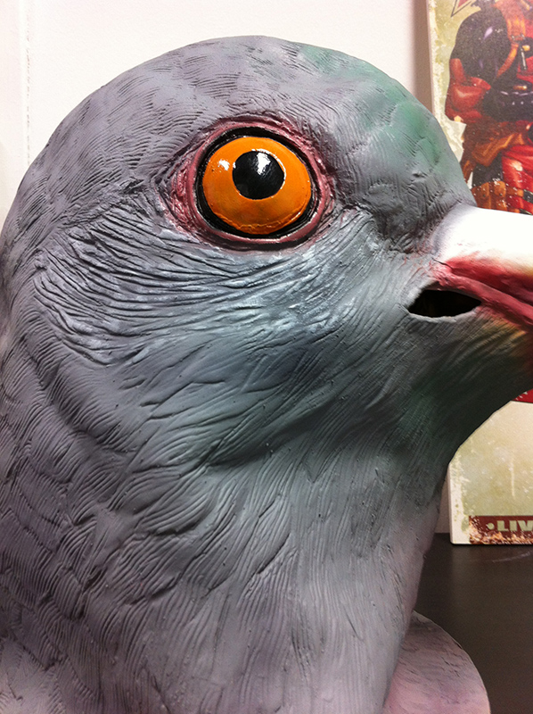 zoom-masque pigeon
