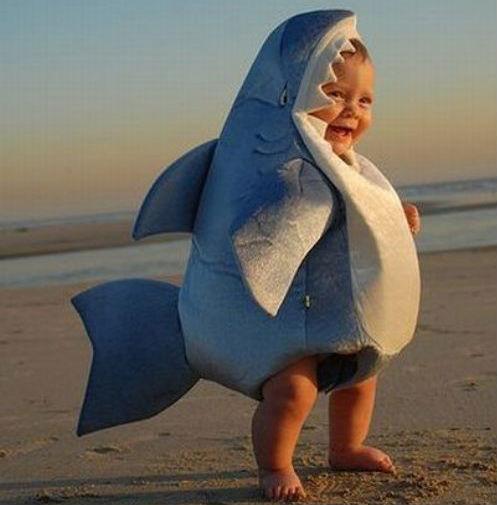 Costume bébé requin