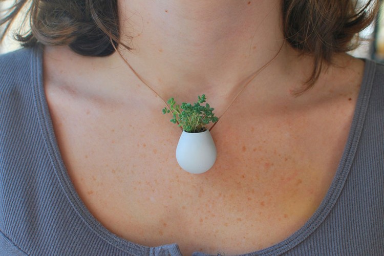 Collier plante