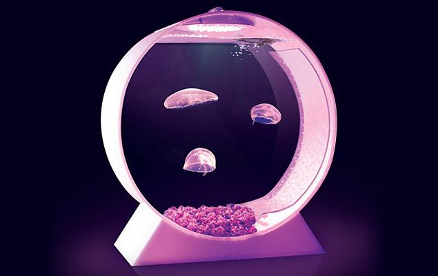 L’aquarium pour méduses