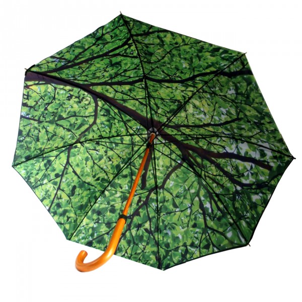 Parapluie arbre